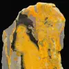 Polished Bumblebee Jasper plaque - 7