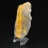 Jasper Bumblebee: Collector's plaque - 5