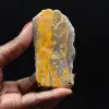Jasper Bumblebee: Collector's plaque - 1