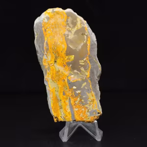 Jasper Bumblebee: Collector's plaque