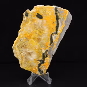 Aesthetic Bumblebee Jasper Slice