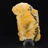 Bumblebee Jasper - 5