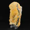 Polished Jasper Bumblebee Specimen - 2