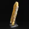 Polished Jasper Bumblebee Specimen - 3