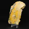 Polished Jasper Bumblebee Specimen - 5