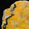 Polished Jasper Bumblebee Specimen - 7