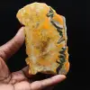 Polished Jasper Bumblebee Specimen - 1