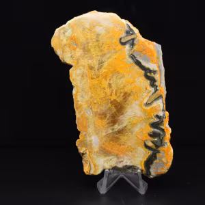 Polished Jasper Bumblebee Specimen