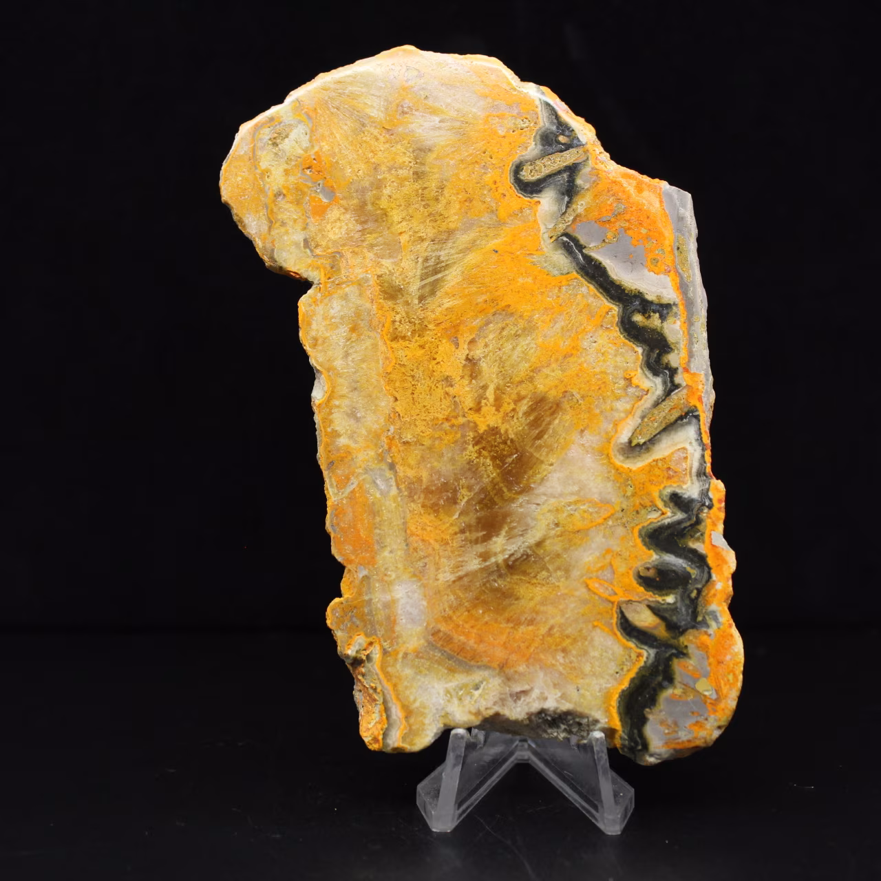 Polished Jasper Bumblebee Specimen