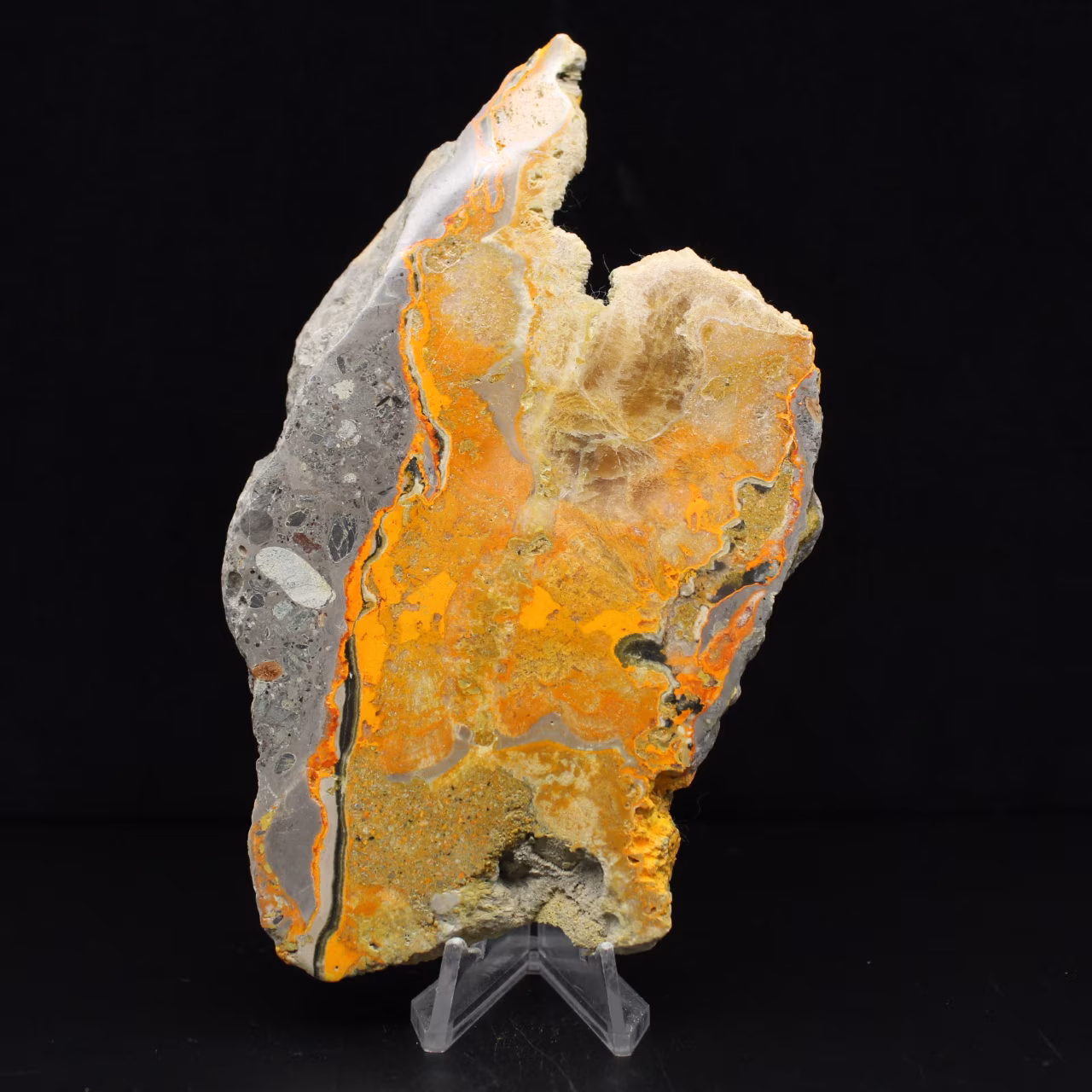Large slice of Bumblebee Jasper