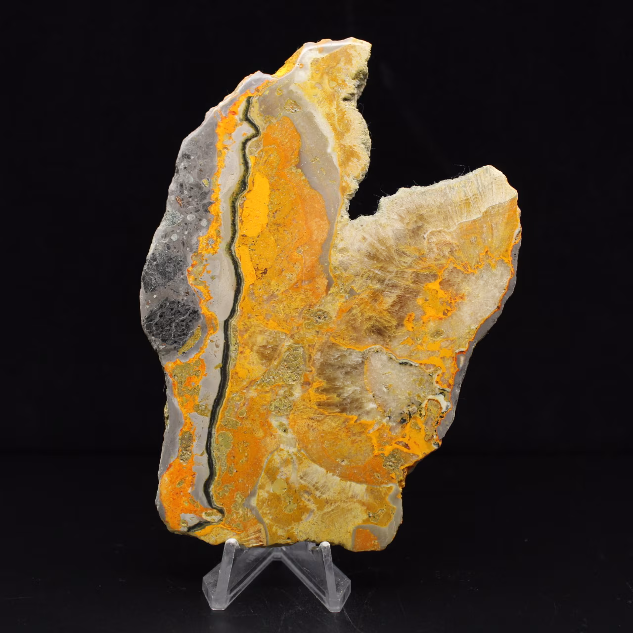 Bumblebee Jasper: volcanic plate
