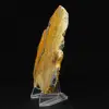 Polished Indonesian Bumblebee Jasper - 3