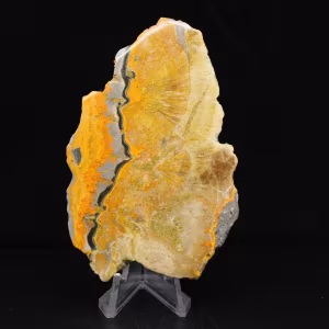 Polished Indonesian Bumblebee Jasper