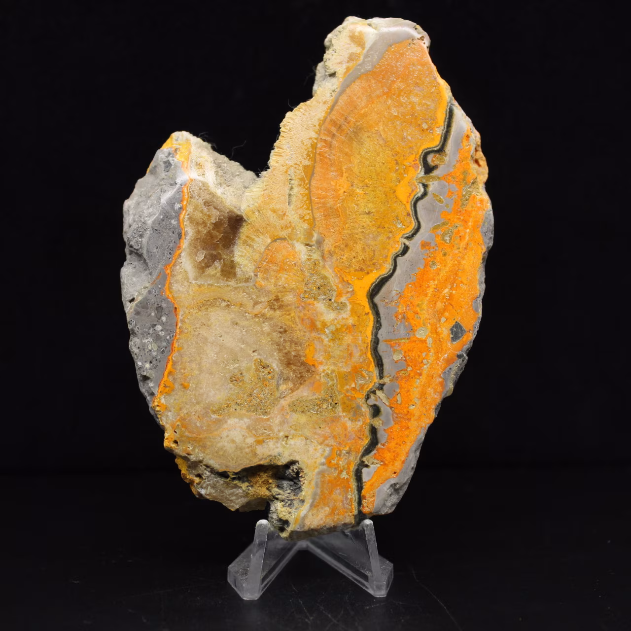 Sedimentary Bumblebee Jasper Plate