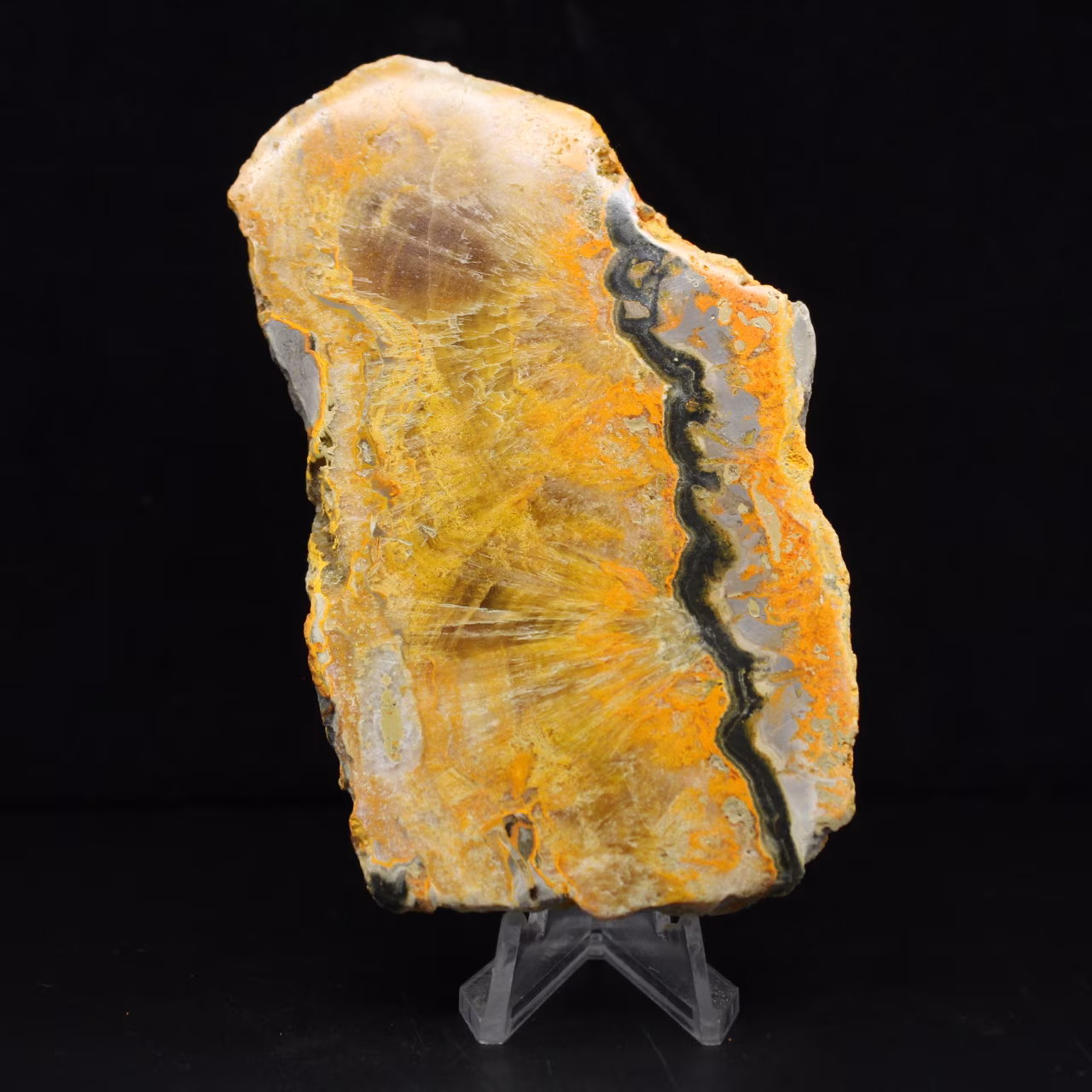 Bumblebee Jasper Collectible Plaque