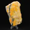 Bumblebee Jasper - 7