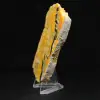 Indonesian Bumblebee Jasper in slabs - 6