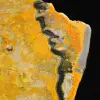 Indonesian Bumblebee Jasper in slabs - 7