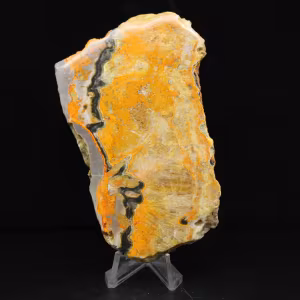 Indonesian Bumblebee Jasper in slabs