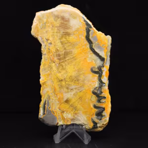 Authentic Bumblebee Jasper Slice