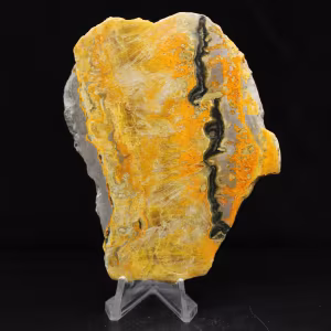Bumblebee Jasper Slice from the Volcano