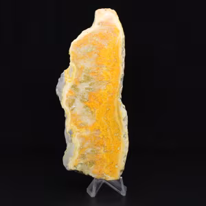 Polished slice of Indonesian Bumblebee Jasper