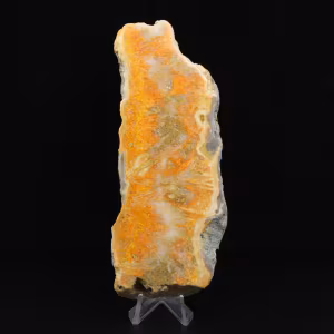 Bumblebee Jasper Slice - Collector's Quality