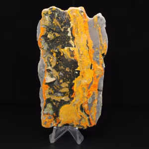 Indonesian Bumblebee Jasper: large polished slab