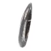 Fossil Orthoceras from Morocco - 2
