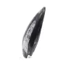 Fossil Orthoceras - 2