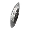Fossil Orthoceras from Morocco - 2
