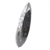 Fossil Orthoceras from Morocco - 2