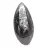 Fossil Orthoceras from Morocco