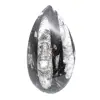 Fossil Orthoceras - 0