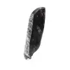 Fossil Orthoceras - 2