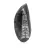 Fossil Orthoceras