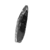 Fossil Orthoceras - 2