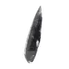 Fossil Orthoceras - 2
