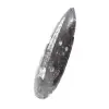 Fossil Orthoceras - 2