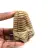 Fossil trilobite
