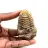 Fossil trilobite