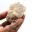 Fossil tooth of Otodus from Morocco — 4