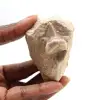 Fossil tooth of Otodus - 0