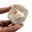 Fossil tooth of Otodus from Morocco — 6