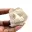 Fossil tooth of Otodus from Morocco — 9