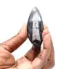 Fossil Orthoceras - 1