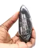Fossil Orthoceras - 1