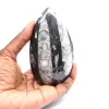 Fossil Orthoceras - 1