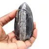 Fossil Orthoceras from Morocco - 1