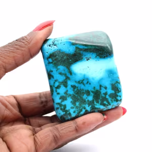Congo chrysocolla to lay